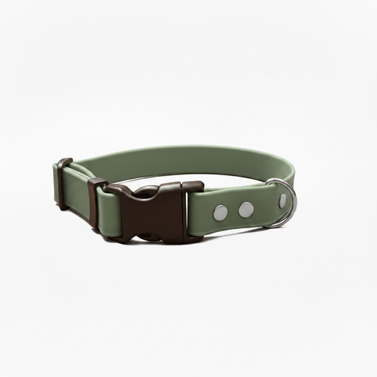 Sage green waterproof dog collar with quick release black buckle.