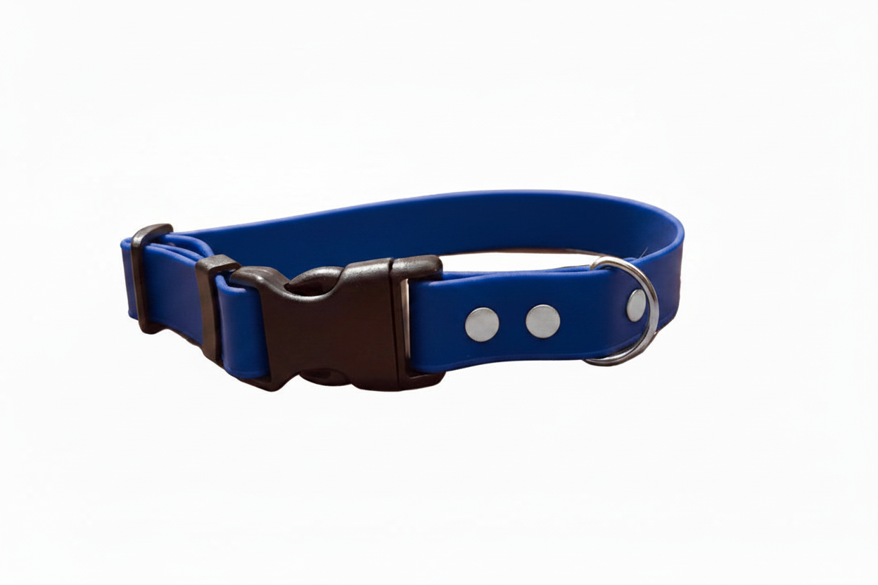 Collier imperméable pour chien