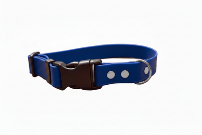 Collier imperméable pour chien