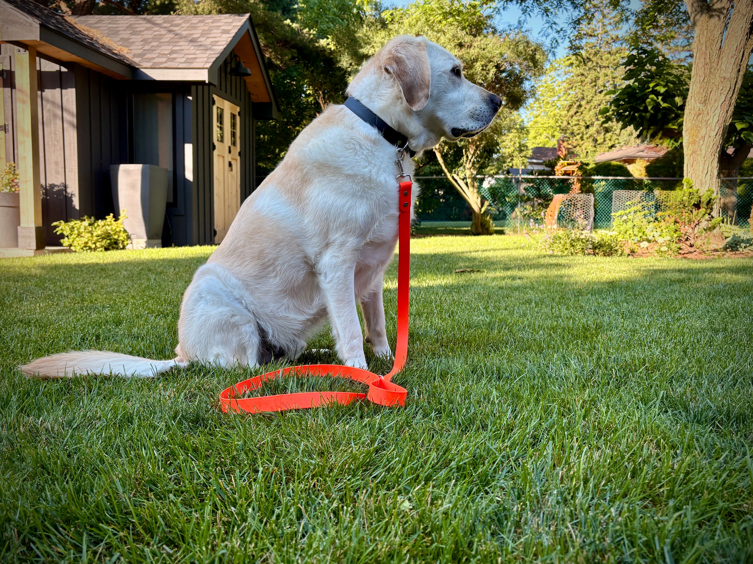High-Viz Waterproof Dog Leash
