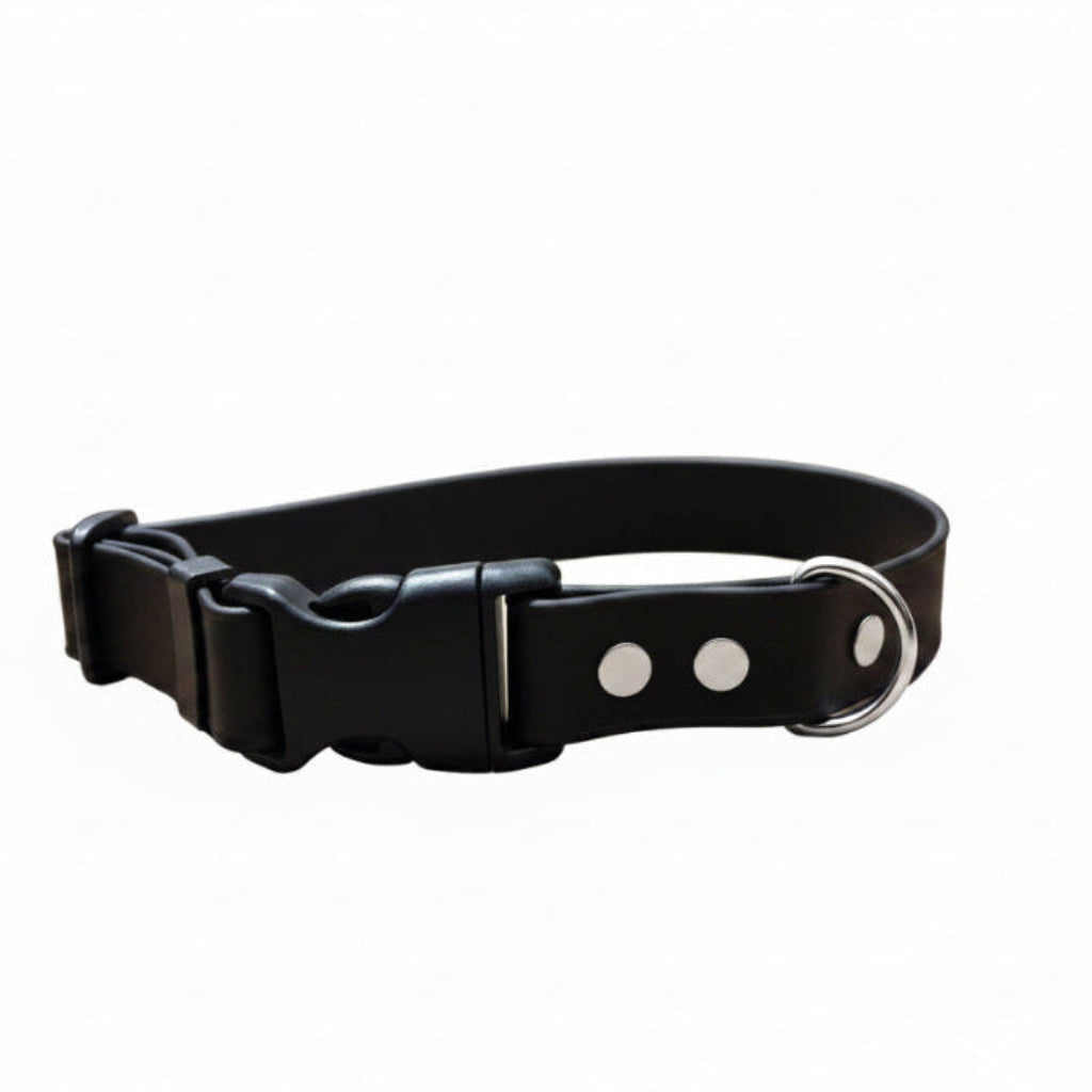 Collier imperméable pour chien