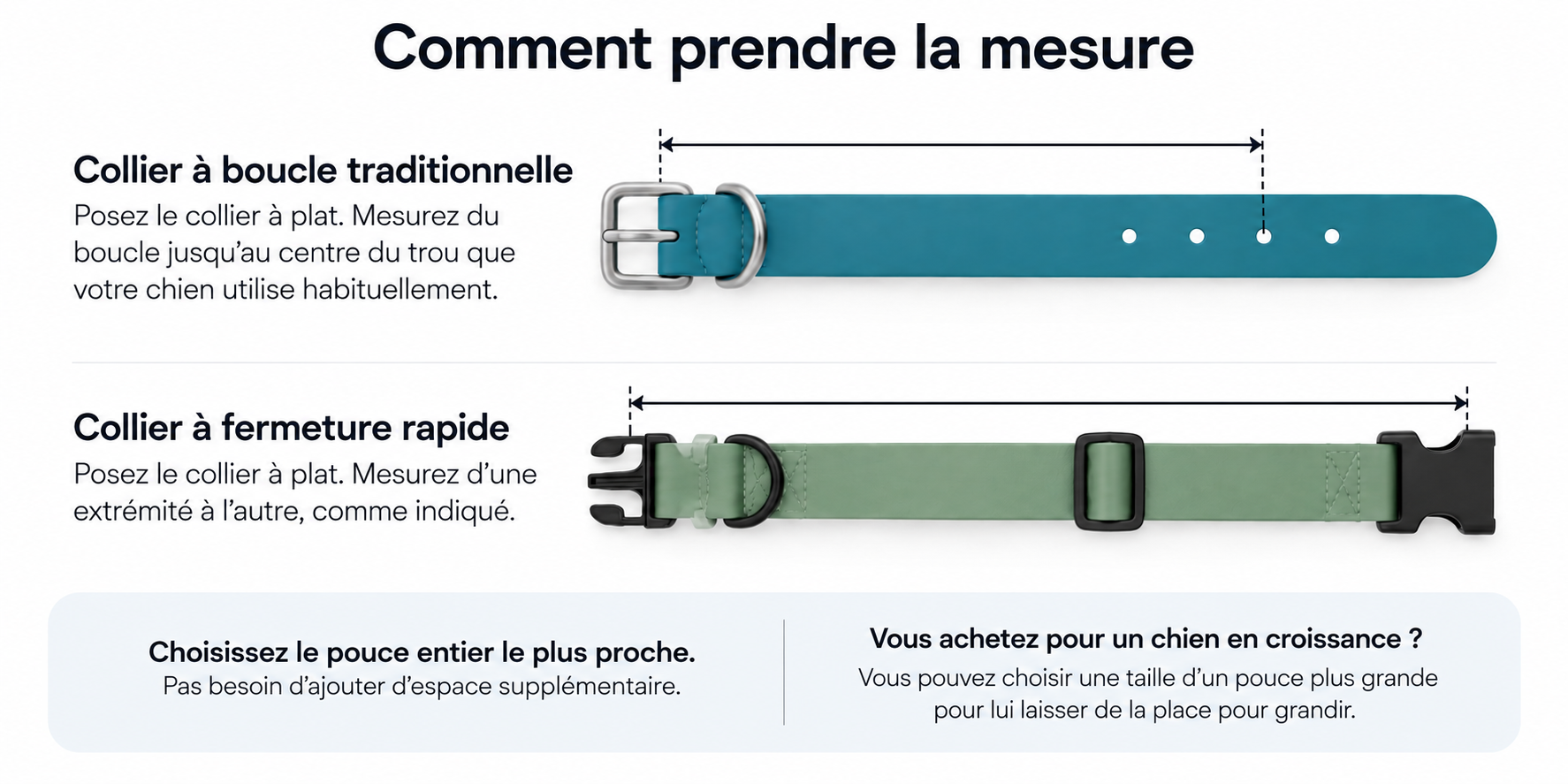 Comment mesurer un collier pour chien
